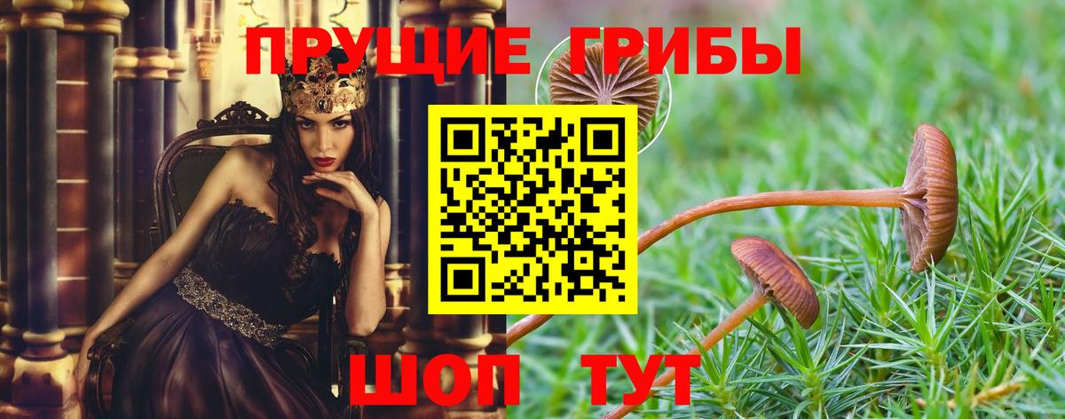 Галлюциногенные грибы MAGIC MUSHROOMS  Вход с VPN  Екатеринбург  Псилоцибиновые грибы Psilocybine cubensis 